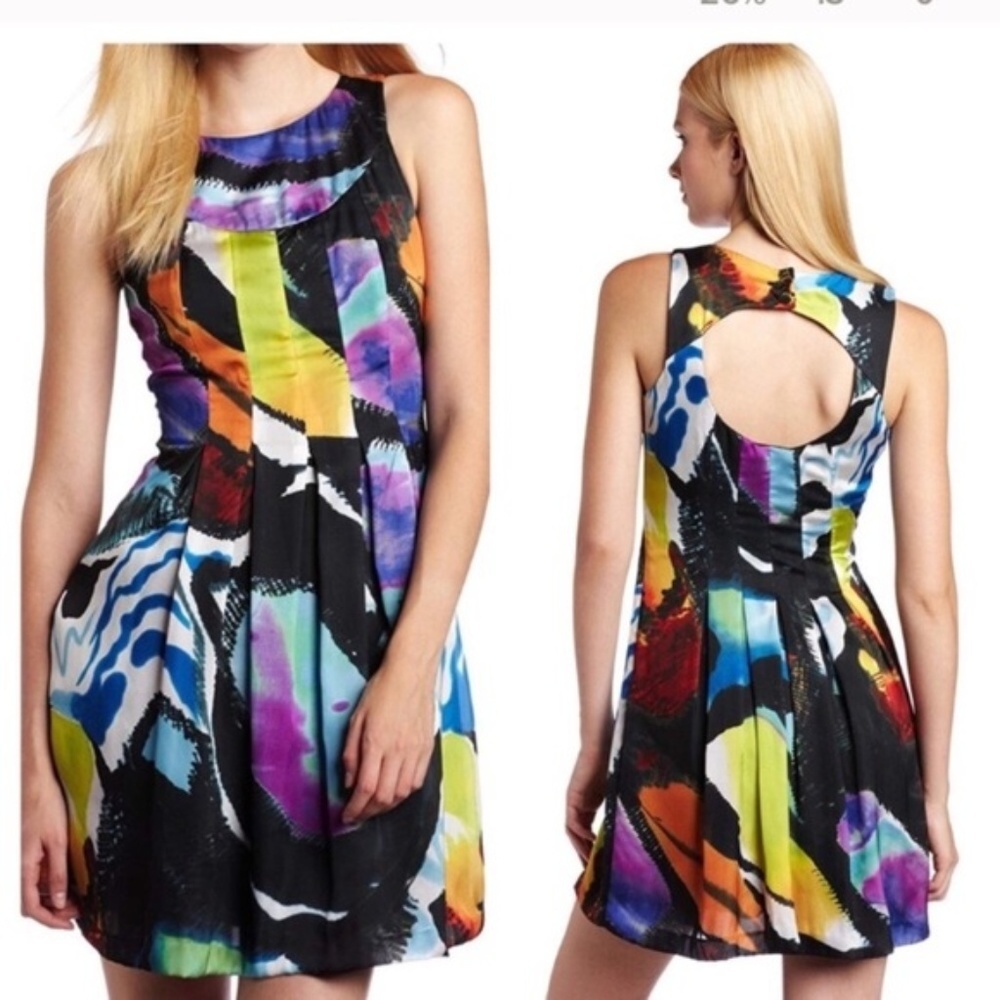 Ted baker London women 2 Anibela dress sleeveless lined whimsigoth festival